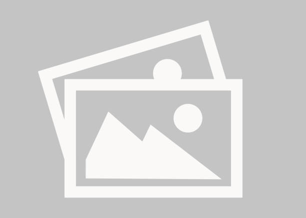 ASHUTOSH SINGH Principal